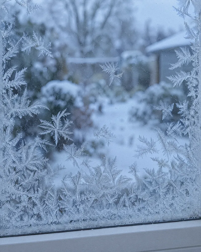 Zamrzlé okno zblízka, ledové květy u rámu.